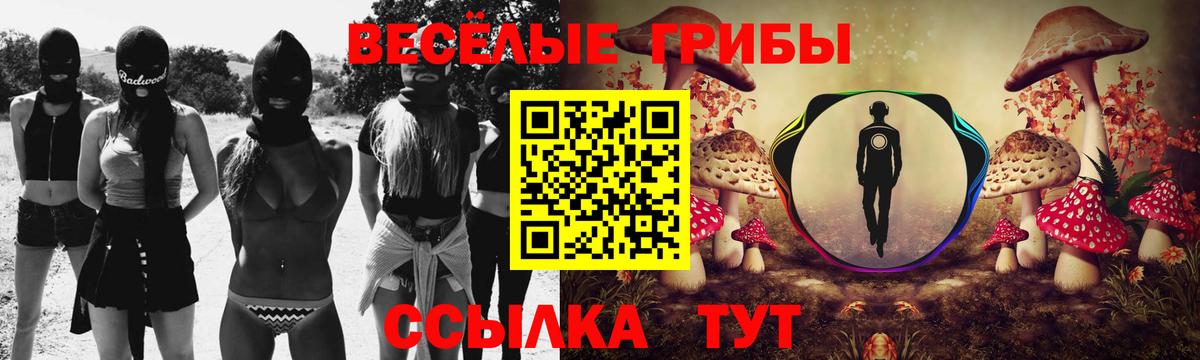 Галлюциногенные грибы Cubensis  Вход с VPN  Брянск 